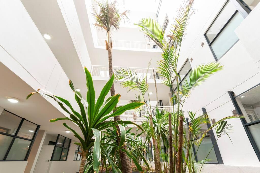 Apartment Feliz The Millennial *